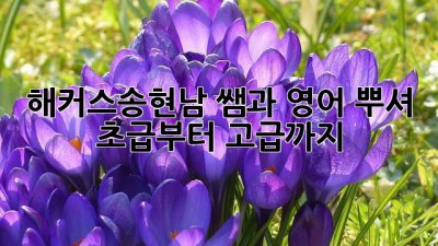 해커스송현남 쌤과 영어 뿌셔👊 초급부터 고급까지!