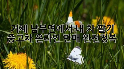거제 남부면에서 내 차 팔기?! 🚗💨 중고차 온라인 판매 완전정복!